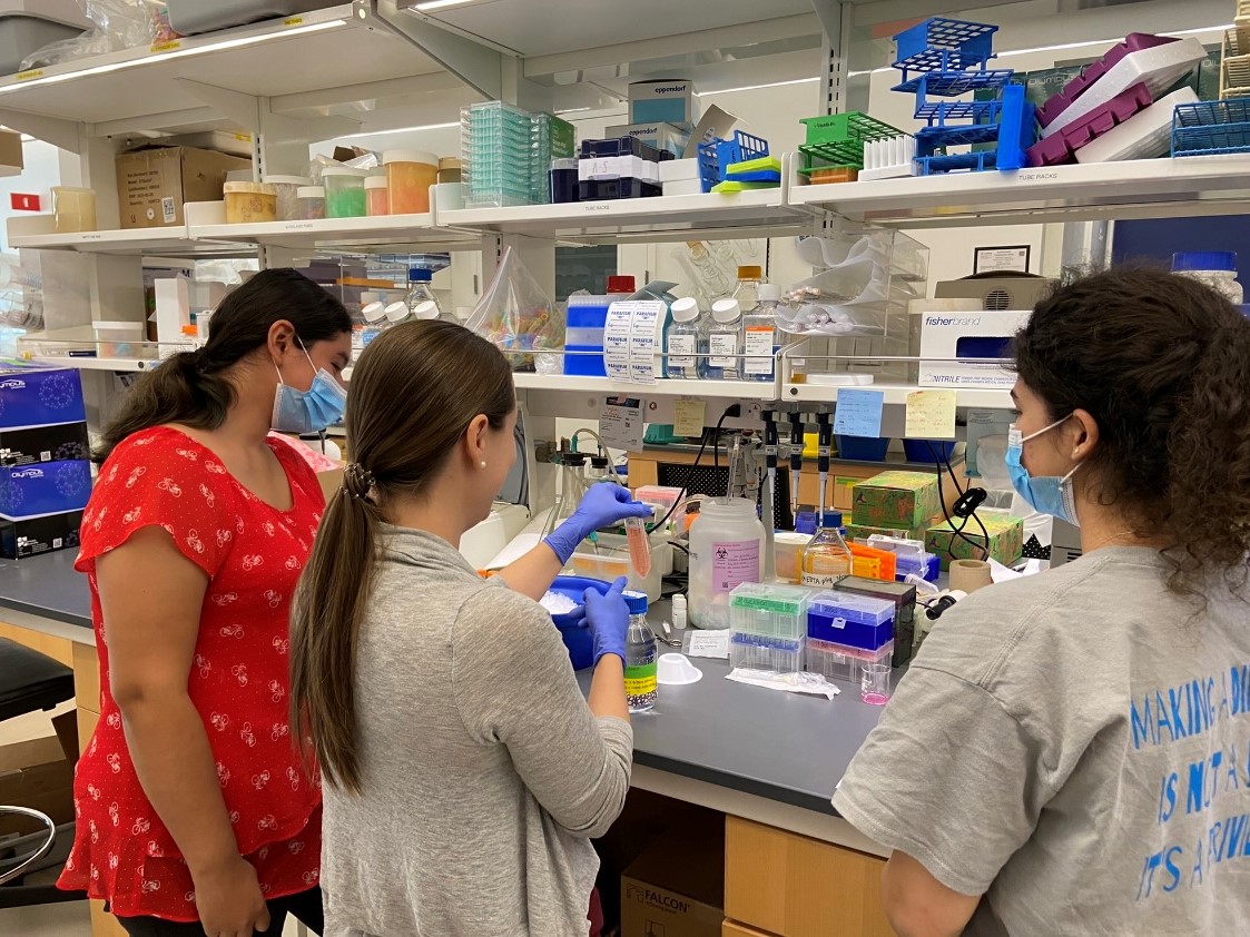 A scientist demonstrates a technique for two interns in the laboratory