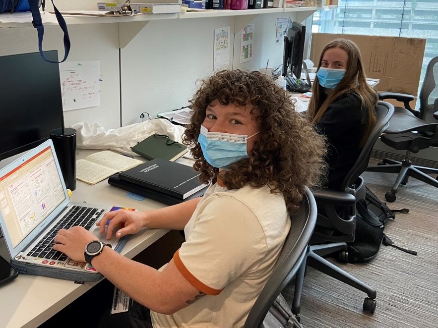 Two interns work at their computers