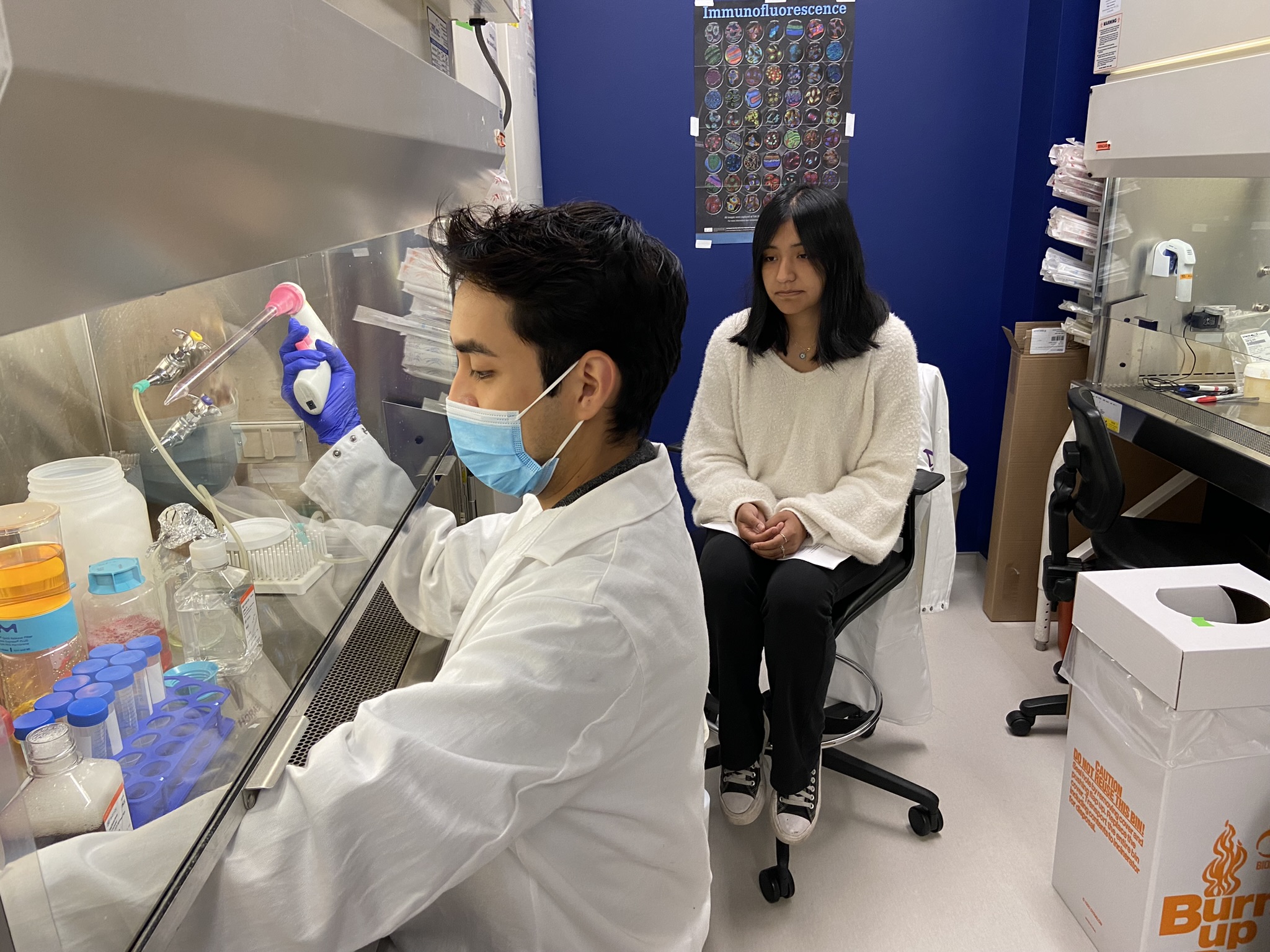 A technician demonstrates cell culture technique at a biosafety cabinet while an intern watches